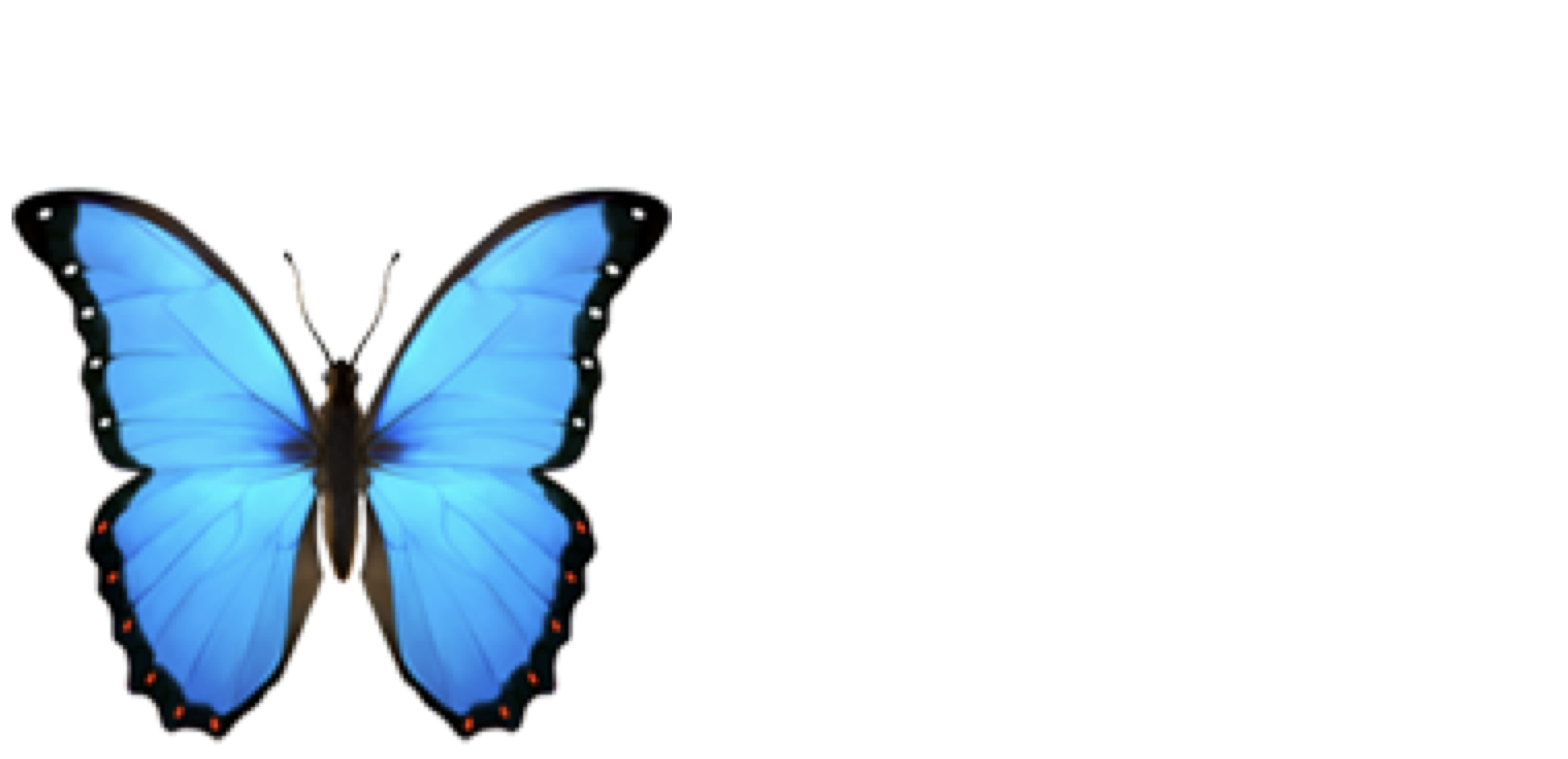 Logo Dianne Breton